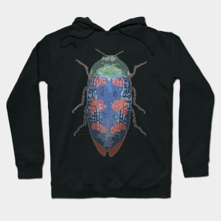 Jewel Beetle Digital Painting Hoodie